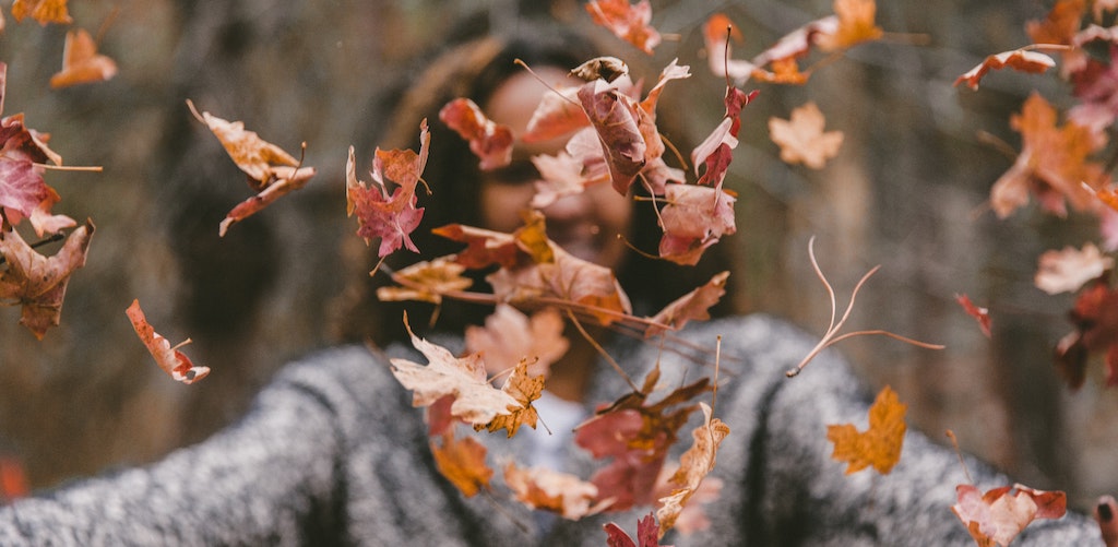6 Fall Fundraising Ideas for All Nonprofits