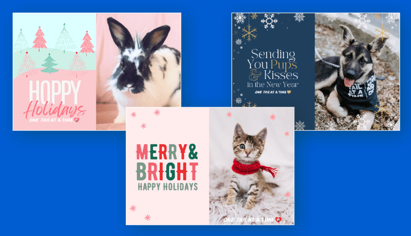 Three holiday cards that are branded to One Tail at a Time and feature rescued animals