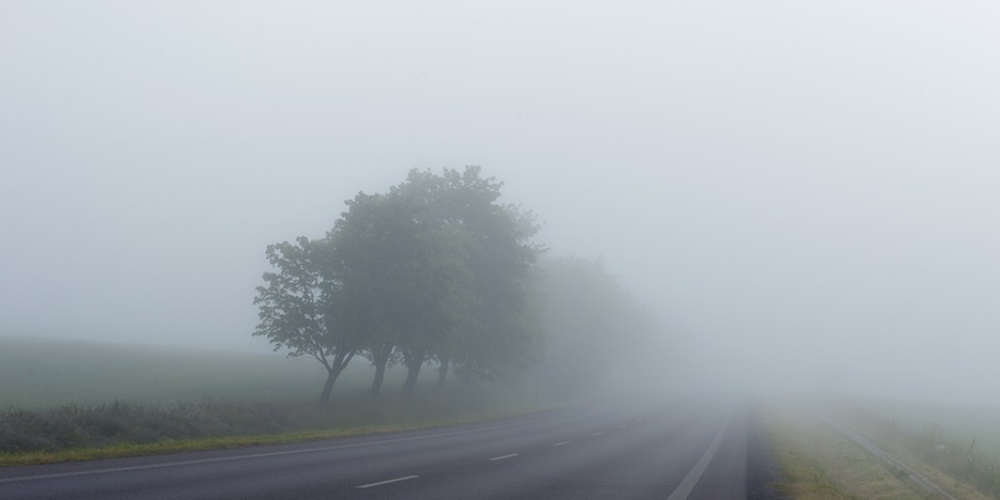 Foggy road