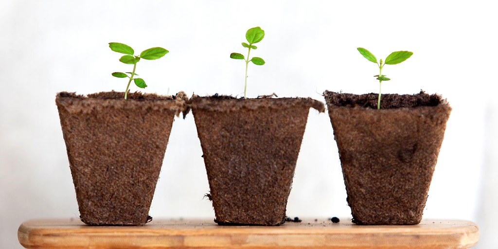 Grow Your Nonprofit Community Without Asking for Money