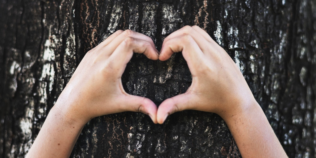 hands-heart