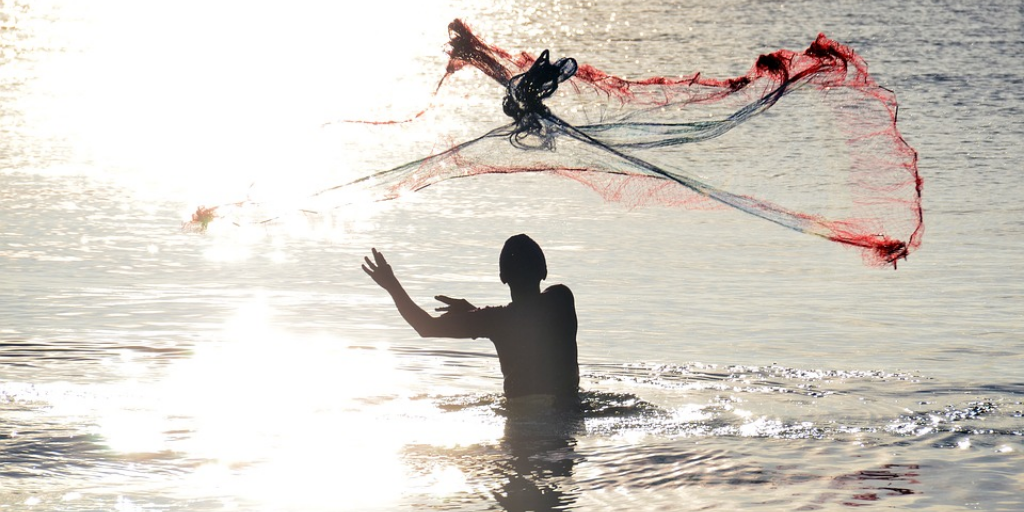 netting-new-donors