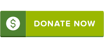 Example donate button 2