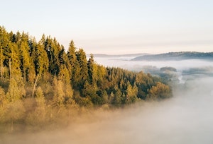 Washington Nonprofits